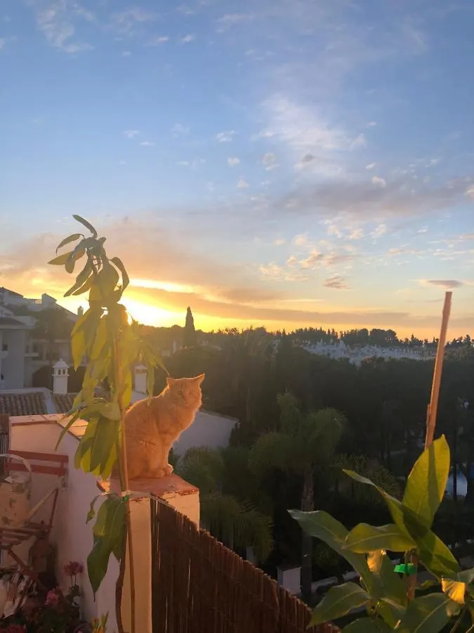 Sea View Penthouse Marbella In 
