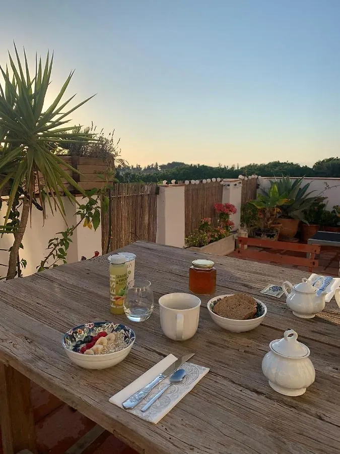 Sea View Penthouse Marbella In 